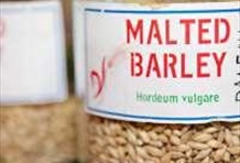 Gourmet Seattle Restaurant Tour